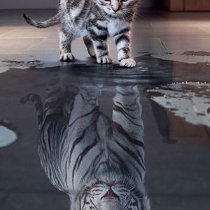 Meet your Posher, Miller